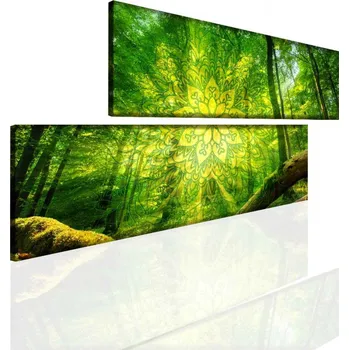 Obraz Malvis ® Obraz Mandala lesní strážce Velikost: 120x60 cm