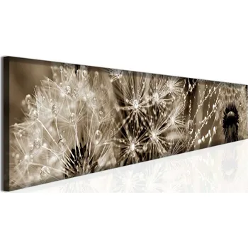 Obraz Malvis ® Panoramatický obraz rosa Velikost: 180x30 cm