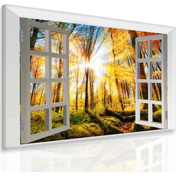 Obraz Malvis ® Obraz okno do přírody Velikost: 80x60 cm
