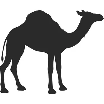 Samolepicí dekorace na vozidlo SI0115021G - Velbloud - dromedár - 200 x 192 mm doprava