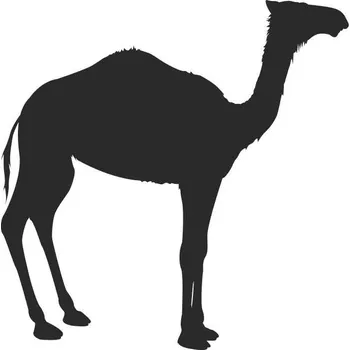 Samolepicí dekorace na vozidlo SI0115020E - Dromedár - 160 x 155 mm doprava