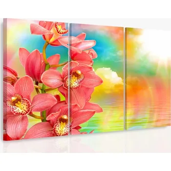 Malvis ® Vícedílný obraz - Orchidej a duha Velikost: 90x60 cm