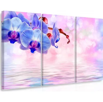 Malvis ® Vícedílný obraz - Modrá orchidej Velikost: 90x60 cm