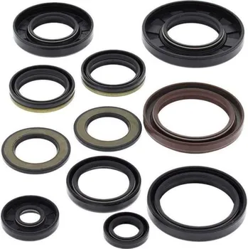 Těsnění motoru WINDEROSA sada gufer motoru YAMAHA YFM 600 GRIZZLY 98-01