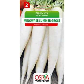 Semeno Ředkev - Minowase Summer Gross