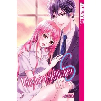 Komiks pro dospělé Unwiderstehlicher S 06 - Hibiki, Ai