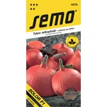 SEMO Solor F1 tykev velkoplodá 8 ks