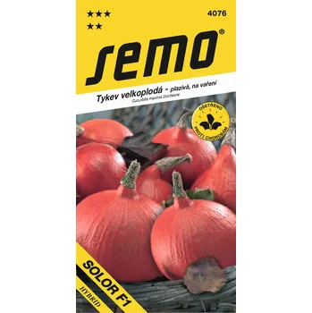 Semeno SEMO Solor F1 tykev velkoplodá 8 ks