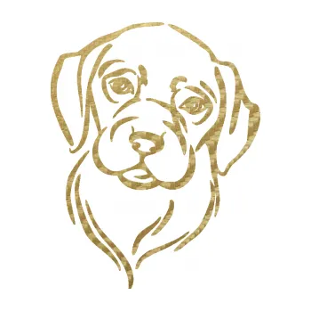 Polep vozidla SAMOLEPKA Pes 130 pravá hlavička (59 - 3D karbon zlatý) NA AUTO, NÁLEPKA, FÓLIE, POLEP, TUNING, VLASTNÍ TEXT, TISK, AUTOSAMOLEPKY.cz, POLEPY, OBRÁZEK, LOGO, SAMOLEPKY