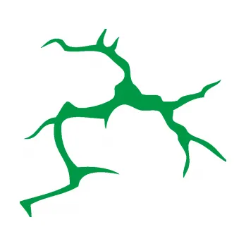 Samolepící dekorace Prasklina 003 (12 - zelená) SAMOLEPKA NA AUTO, NÁLEPKA, FÓLIE, POLEP, TUNING, VLASTNÍ TEXT, TISK, AUTOSAMOLEPKY.cz, POLEPY, OBRÁZEK, LOGO, 3D STICKERS