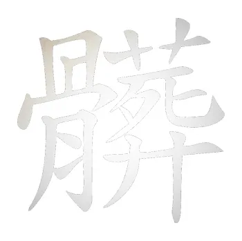 Polep vozidla SAMOLEPKA Čínský znak Dirty (82 - odrazková reflexní bílá) NA AUTO, NÁLEPKA, FÓLIE, POLEP, TUNING, VLASTNÍ TEXT, TISK, AUTOSAMOLEPKY.cz, POLEPY, OBRÁZEK, LOGO, SAMOLEPKY