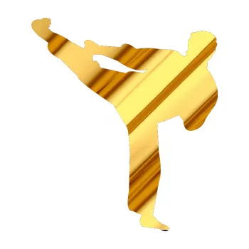 Polep vozidla Karate 008 levá (81 - chrom fólie zlatá zrcadlová) SAMOLEPKA NA AUTO, NÁLEPKA, FÓLIE, POLEP, TUNING, VLASTNÍ TEXT, TISK, AUTOSAMOLEPKY.cz, POLEPY, OBRÁZEK, LOGO, 3D STICKERS