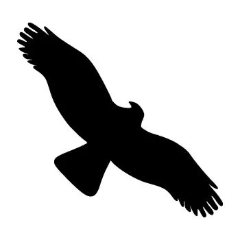 Samolepící dekorace SAMOLEPKA Dravec na sklo 001 pravá (01 - černá) NA AUTO, NÁLEPKA, FÓLIE, POLEP, TUNING, VLASTNÍ TEXT, TISK, AUTOSAMOLEPKY.cz, POLEPY, OBRÁZEK, LOGO, SAMOLEPKY