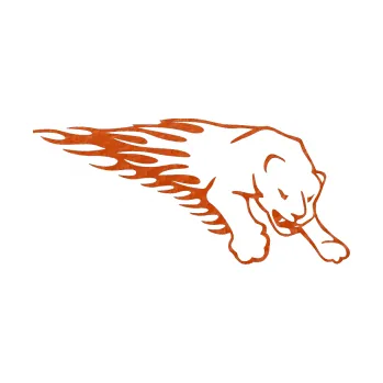 Samolepicí dekorace na vozidlo Animal flames 020 pravá puma (54 - 3D karbon oranžový) SAMOLEPKA NA AUTO, NÁLEPKA, FÓLIE, POLEP, TUNING, VLASTNÍ TEXT, TISK, AUTOSAMOLEPKY.cz, POLEPY, OBRÁZEK, LOGO, 3D STICKERS