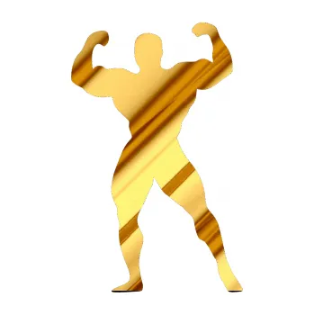 Polep vozidla Kulturista 014 levá (81 - chrom fólie zlatá zrcadlová) SAMOLEPKA NA AUTO, NÁLEPKA, FÓLIE, POLEP, TUNING, VLASTNÍ TEXT, TISK, AUTOSAMOLEPKY.cz, POLEPY, OBRÁZEK, LOGO, 3D STICKERS