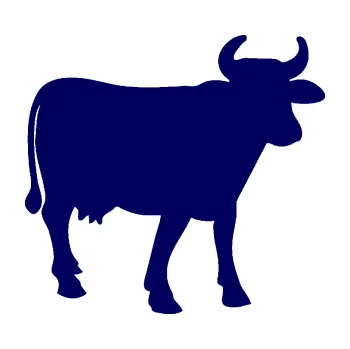 Samolepící dekorace SAMOLEPKA Kráva 002 pravá (23 - tmavě modrá) NA AUTO, NÁLEPKA, FÓLIE, POLEP, TUNING, VLASTNÍ TEXT, TISK, AUTOSAMOLEPKY.cz, POLEPY, OBRÁZEK, LOGO, SAMOLEPKY