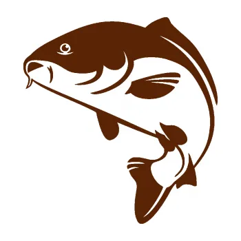 Polep vozidla SAMOLEPKA Kapr 005 levá (15 - hnědá) NA AUTO, NÁLEPKA, FÓLIE, POLEP, TUNING, VLASTNÍ TEXT, TISK, AUTOSAMOLEPKY.cz, POLEPY, OBRÁZEK, LOGO, SAMOLEPKY