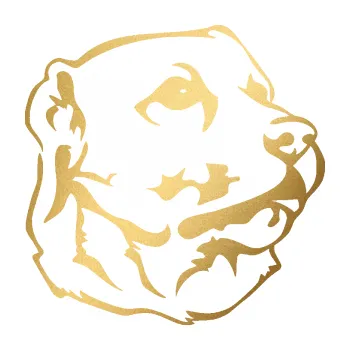 Polep vozidla Pes 104 pravá Labrador (43 - zlatá metalíza) SAMOLEPKA NA AUTO, NÁLEPKA, FÓLIE, POLEP, TUNING, VLASTNÍ TEXT, TISK, AUTOSAMOLEPKY.cz, POLEPY, OBRÁZEK, LOGO, 3D STICKERS