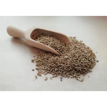 Koření Anýz celý 50g