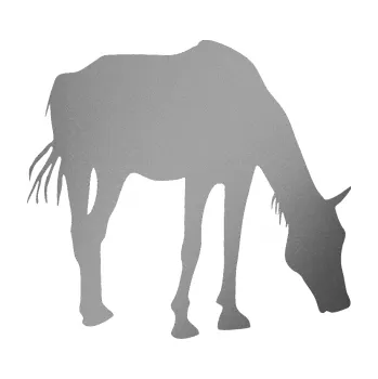 Samolepící dekorace Kůň 008 pravá (42 - stříbrná metalíza) SAMOLEPKA NA AUTO, NÁLEPKA, FÓLIE, POLEP, TUNING, VLASTNÍ TEXT, TISK, AUTOSAMOLEPKY.cz, POLEPY, OBRÁZEK, LOGO, 3D STICKERS