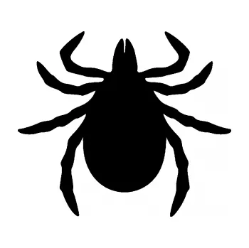 Samolepící dekorace SAMOLEPKA Klíště 001 (01 - černá) NA AUTO, NÁLEPKA, FÓLIE, POLEP, TUNING, VLASTNÍ TEXT, TISK, AUTOSAMOLEPKY.cz, POLEPY, OBRÁZEK, LOGO, SAMOLEPKY