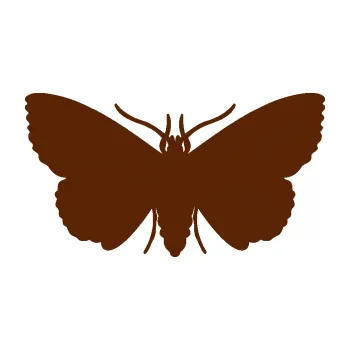 Samolepící dekorace SAMOLEPKA Můra 001 (15 - hnědá) NA AUTO, NÁLEPKA, FÓLIE, POLEP, TUNING, VLASTNÍ TEXT, TISK, AUTOSAMOLEPKY.cz, POLEPY, OBRÁZEK, LOGO, SAMOLEPKY