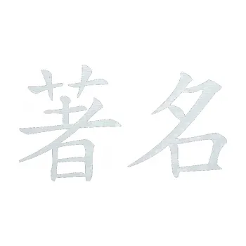 Polep vozidla SAMOLEPKA Čínský znak Famous (51 - 3D karbon bílý) NA AUTO, NÁLEPKA, FÓLIE, POLEP, TUNING, VLASTNÍ TEXT, TISK, AUTOSAMOLEPKY.cz, POLEPY, OBRÁZEK, LOGO, SAMOLEPKY