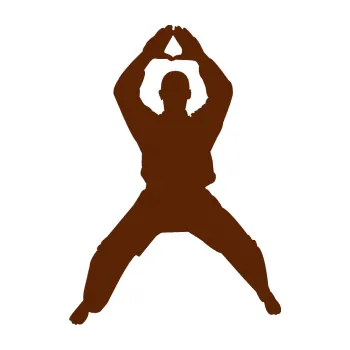 Polep vozidla Karate 003 levá (15 - hnědá) SAMOLEPKA NA AUTO, NÁLEPKA, FÓLIE, POLEP, TUNING, VLASTNÍ TEXT, TISK, AUTOSAMOLEPKY.cz, POLEPY, OBRÁZEK, LOGO, 3D STICKERS