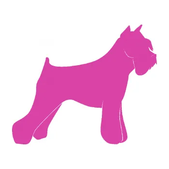 Polep vozidla SAMOLEPKA Pes 091 pravá Knírač (16 - růžová) NA AUTO, NÁLEPKA, FÓLIE, POLEP, TUNING, VLASTNÍ TEXT, TISK, AUTOSAMOLEPKY.cz, POLEPY, OBRÁZEK, LOGO, SAMOLEPKY