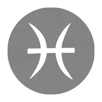 Samolepící dekorace SAMOLEPKA Ryby 001 - horoskop (17 - šedá) NA AUTO, NÁLEPKA, FÓLIE, POLEP, TUNING, VLASTNÍ TEXT, TISK, AUTOSAMOLEPKY.cz, POLEPY, OBRÁZEK, LOGO, SAMOLEPKY