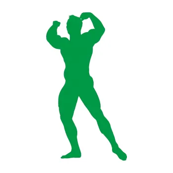 Polep vozidla Kulturista 010 levá (12 - zelená) SAMOLEPKA NA AUTO, NÁLEPKA, FÓLIE, POLEP, TUNING, VLASTNÍ TEXT, TISK, AUTOSAMOLEPKY.cz, POLEPY, OBRÁZEK, LOGO, 3D STICKERS