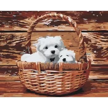 Malování podle čísel - Štěňata v košíku Velikost: 40x50cm, Rámování: Pouze srolované plátno