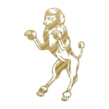 Polep vozidla SAMOLEPKA Pes 023 levá Pudl (59 - 3D karbon zlatý) NA AUTO, NÁLEPKA, FÓLIE, POLEP, TUNING, VLASTNÍ TEXT, TISK, AUTOSAMOLEPKY.cz, POLEPY, OBRÁZEK, LOGO, SAMOLEPKY