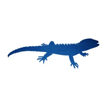 Samolepící dekorace SAMOLEPKA Agama 001 pravá (65 - škrábaný kov modrý) NA AUTO, NÁLEPKA, FÓLIE, POLEP, TUNING, VLASTNÍ TEXT, TISK, AUTOSAMOLEPKY.cz, POLEPY, OBRÁZEK, LOGO, SAMOLEPKY