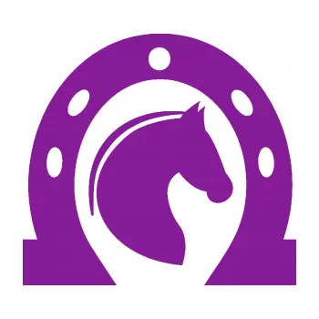 Samolepící dekorace Kůň 034 pravá podkova (14 - fialová) SAMOLEPKA NA AUTO, NÁLEPKA, FÓLIE, POLEP, TUNING, VLASTNÍ TEXT, TISK, AUTOSAMOLEPKY.cz, POLEPY, OBRÁZEK, LOGO, 3D STICKERS