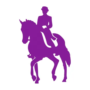 Samolepící dekorace Kůň drezura levá (14 - fialová) SAMOLEPKA NA AUTO, NÁLEPKA, FÓLIE, POLEP, TUNING, VLASTNÍ TEXT, TISK, AUTOSAMOLEPKY.cz, POLEPY, OBRÁZEK, LOGO, 3D STICKERS