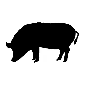 Samolepící dekorace SAMOLEPKA Prase 004 levá (01 - černá) NA AUTO, NÁLEPKA, FÓLIE, POLEP, TUNING, VLASTNÍ TEXT, TISK, AUTOSAMOLEPKY.cz, POLEPY, OBRÁZEK, LOGO, SAMOLEPKY