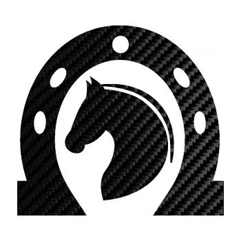 Samolepící dekorace SAMOLEPKA Kůň 034 levá podkova (50 - 3D karbon černý) NA AUTO, NÁLEPKA, FÓLIE, POLEP, TUNING, VLASTNÍ TEXT, TISK, AUTOSAMOLEPKY.cz, POLEPY, OBRÁZEK, LOGO, SAMOLEPKY