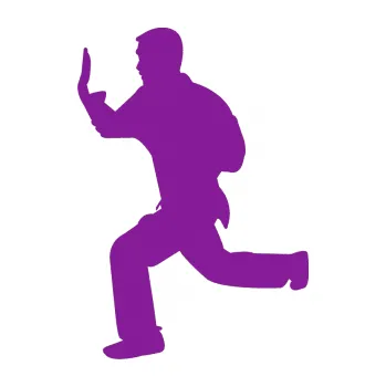 Polep vozidla Karate 002 levá (14 - fialová) SAMOLEPKA NA AUTO, NÁLEPKA, FÓLIE, POLEP, TUNING, VLASTNÍ TEXT, TISK, AUTOSAMOLEPKY.cz, POLEPY, OBRÁZEK, LOGO, 3D STICKERS