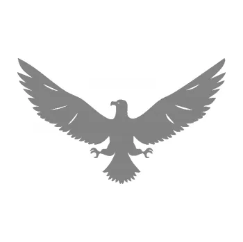 Samolepící dekorace SAMOLEPKA Orlice 004 levá (17 - šedá) NA AUTO, NÁLEPKA, FÓLIE, POLEP, TUNING, VLASTNÍ TEXT, TISK, AUTOSAMOLEPKY.cz, POLEPY, OBRÁZEK, LOGO, SAMOLEPKY