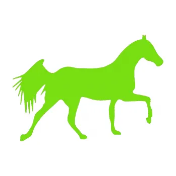 Samolepící dekorace Kůň 001 pravá (04 - zelená kawasaki) SAMOLEPKA NA AUTO, NÁLEPKA, FÓLIE, POLEP, TUNING, VLASTNÍ TEXT, TISK, AUTOSAMOLEPKY.cz, POLEPY, OBRÁZEK, LOGO, 3D STICKERS