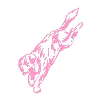 Polep vozidla SAMOLEPKA Pes 043 levá (24 - světle růžová) NA AUTO, NÁLEPKA, FÓLIE, POLEP, TUNING, VLASTNÍ TEXT, TISK, AUTOSAMOLEPKY.cz, POLEPY, OBRÁZEK, LOGO, SAMOLEPKY