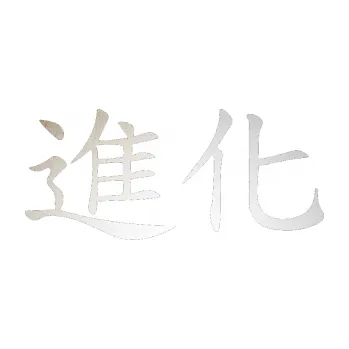 Polep vozidla SAMOLEPKA Čínský znak Evolution (82 - odrazková reflexní bílá) NA AUTO, NÁLEPKA, FÓLIE, POLEP, TUNING, VLASTNÍ TEXT, TISK, AUTOSAMOLEPKY.cz, POLEPY, OBRÁZEK, LOGO, SAMOLEPKY