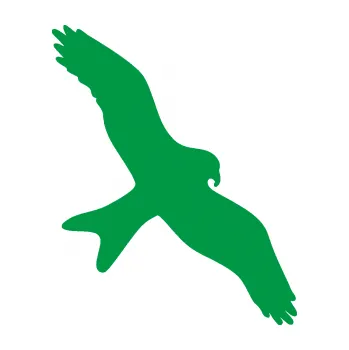 Samolepící dekorace Dravec na sklo 002 pravá (12 - zelená) SAMOLEPKA NA AUTO, NÁLEPKA, FÓLIE, POLEP, TUNING, VLASTNÍ TEXT, TISK, AUTOSAMOLEPKY.cz, POLEPY, OBRÁZEK, LOGO, 3D STICKERS