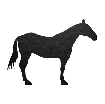 Samolepící dekorace SAMOLEPKA Kůň 005 pravá (63 - škrábaný kov černý) NA AUTO, NÁLEPKA, FÓLIE, POLEP, TUNING, VLASTNÍ TEXT, TISK, AUTOSAMOLEPKY.cz, POLEPY, OBRÁZEK, LOGO, SAMOLEPKY