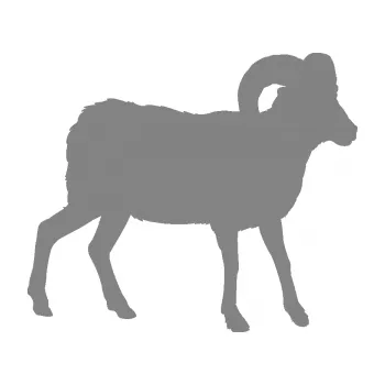 Samolepící dekorace SAMOLEPKA Kozel 004 pravá (17 - šedá) NA AUTO, NÁLEPKA, FÓLIE, POLEP, TUNING, VLASTNÍ TEXT, TISK, AUTOSAMOLEPKY.cz, POLEPY, OBRÁZEK, LOGO, SAMOLEPKY