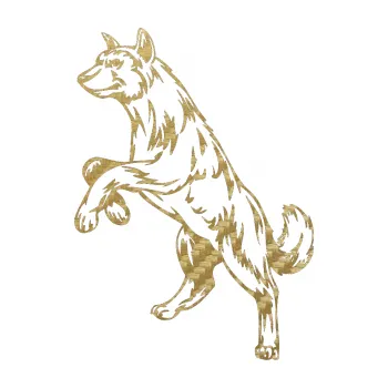 Polep vozidla SAMOLEPKA Pes 025 levá (59 - 3D karbon zlatý) NA AUTO, NÁLEPKA, FÓLIE, POLEP, TUNING, VLASTNÍ TEXT, TISK, AUTOSAMOLEPKY.cz, POLEPY, OBRÁZEK, LOGO, SAMOLEPKY