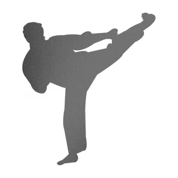 Polep vozidla Karate 008 pravá (41 - grafitová metalíza) SAMOLEPKA NA AUTO, NÁLEPKA, FÓLIE, POLEP, TUNING, VLASTNÍ TEXT, TISK, AUTOSAMOLEPKY.cz, POLEPY, OBRÁZEK, LOGO, 3D STICKERS