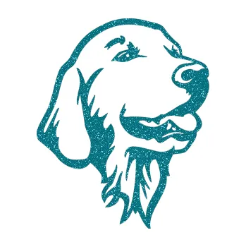 Polep vozidla Pes 074 pravá Zlatý retrívr (92 - Ultra Metalic tyrkysová) SAMOLEPKA NA AUTO, NÁLEPKA, FÓLIE, POLEP, TUNING, VLASTNÍ TEXT, TISK, AUTOSAMOLEPKY.cz, POLEPY, OBRÁZEK, LOGO, 3D STICKERS