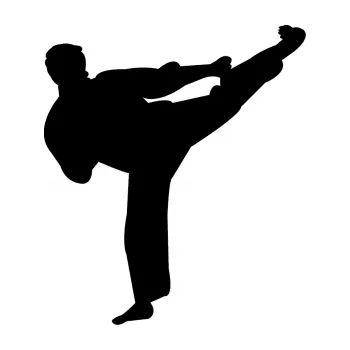 Polep vozidla Karate 008 pravá (01 - černá) SAMOLEPKA NA AUTO, NÁLEPKA, FÓLIE, POLEP, TUNING, VLASTNÍ TEXT, TISK, AUTOSAMOLEPKY.cz, POLEPY, OBRÁZEK, LOGO, 3D STICKERS